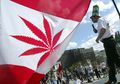 Kanada Memberlakukan Legalisasi Ganja, Orang-orang Malah Berbondong-bondong Membelinya