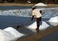 Ngeri! 90 Persen Garam Dapur Mengandung Mikroplastik, Garam Indonesia Punya Kandungan Tertinggi