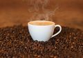 Tingkat Konsumsi Kafein Anak Naik, Amankah Bila Si Kecil Minum Kopi?