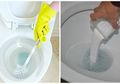 Cara Membersihkan Toilet dengan Bahan Alami, Cepat dan Murah!