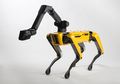 Wah, Robot Anjing Ini Bisa Menari, Teknologi Semakin Canggih!