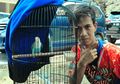 Dewa Amoy: Burung 'Legendaris' yang Kicauannya Hampir Tak Pernah Terkalahkan, Kali Ini Dapat Sepeda Motor!