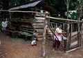 Upaya Mengajak Masyarakat untuk Mandiri Menangkal Konflik Manusia dengan Satwa Liar
