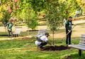 Arbor Day, Hari Libur Nasional di Nebraska untuk Menanam Pohon