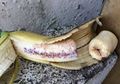 Viral, Kabar Pisang Disuntikan Darah HIV, Benarkah HIV Ditularkan Dengan Cara Itu?