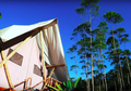 "Camping" Rasa Hotel Bintang 5 di Ciwidey, Tertarik Menginap?