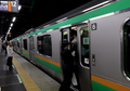 Oshiya, Pekerjaan Unik di Stasiun Kereta Jepang, Apa Tugasnya?