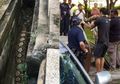 Bikin Resah Warga, Ular Piton 3 Meter Ditemukan dengan Perut 'Bengkak', Apa Isi Perutnya?