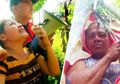 Selama 3 Tahun Pria Ini Tinggal di Atas Pohon Kelapa, Alasan di Baliknya Ternyata Sungguh Ironis