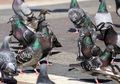 Mengapa Ada Banyak Burung Merpati di Perkotaan? Ayo, Cari Tahu!