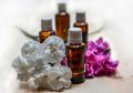 Cara Ampuh Mengatasi Jerawat dengan Bahan Alami Tea Tree Oil