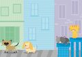 Dongeng Anak: Kucing Siam yang Sombong