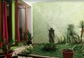 7 Cara Menata Taman Dengan Apik, Cocok Buat yang Baru Pindah Rumah