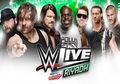 Tak Risaukan Kasus Jamal Khashoggi, Arab Saudi Tetap Gelar Pertandingan Gulat WWE SmackDown!