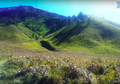 Bukit Teletubbies Bromo, Permadani Hijau yang Terhampar Luas