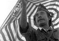 Siapa Saja yang Boleh Menerima Gelar Pahlawan Nasional?