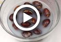 (Video) Cara Manfaatkan Sisa Air Cucian Beras, Salah Satunya Bisa Hilangkan Bau Jengkol!