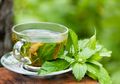 Benarkan Teh Detox Bisa Bikin Kurus? Ini Jawaban yang Sesungguhnya!