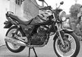Terungkap, Inilah Motor Bekas Paling Diburu di Indonesia Pada 2018