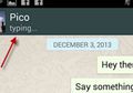 Begini Cara Menyembunyikan Status Typing Saat Membalas Pesan WhatsApp