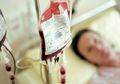 Benarkah Mendonorkan Darah Bisa Tertular Penyakit, Berikut Mitos dan Fakta Seputar Donor Darah