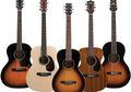 Macam-macam Gitar Akustik, dari Model Mini Sampai Dreadnought