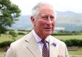 Rayakan Ulang Tahun Pangeran Charles, Istana Rilis Foto Keluarga yang Akrab dan Hangat