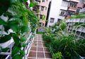 Kesegaran di Tengah Kota, Intip Proyek "Urban Mountains" di Shenzhen