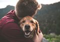 Banyak Anjing yang Selamatkan Pemiliknya dari Orang Jahat, Benarkah Anjing dapat Mengenali Orang Jahat?