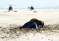 NASA Mengunggah Foto Piring Terbang, Apakah Pesawat Milik Alien?