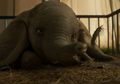 Trailer Pertama Film 'Dumbo' Garapan Tim Burton Kok Bikin Haru, Deh!