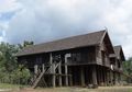 Rumah Betang Bintang Patendu di Desa Tumbang Manggu