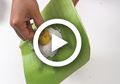 (Video) Begini Cara Supaya Daun Pisang Tetap Hijau dan Tidak Cepat Kuning