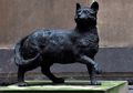 Ternyata Seekor Kucing Juga Ikut Menemukan Benua Australia, lo