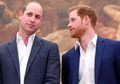 Meski Terlihat Lebih Akrab dengan Orang Lain, Pangeran Harry Lebih Pendiam Dibandingkan Pangeran William