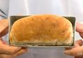 Terbuat dari Kecoak, Inilah Roti Tepung Kecoak yang Tinggi Protein, Berani Coba?