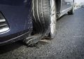 Awas, Cegah Ban Pecah Tiba-Tiba di Jalan dengan 4 Langkah Ini!