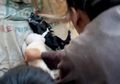 Seekor Kambing Lahirkan Bayi 'Setengah Babi Setengah Manusia', Begini Bentuknya!
