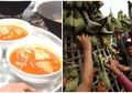 7 Makanan Tradisional Ini Wajib Ada Saat Maulid Nabi, No 5 Paling Bikin Ngiler