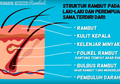 Rambut Kita Mampu Menahan Beban 100 Gram, Simak Fakta Seru Lainnya!
