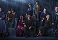11 Pertanyaan Ini Muncul Setelah Nonton Fantastic Beasts 2. Awas Spoiler!