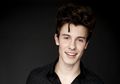 Shawn Mendes Meminta Maaf Pada Fans Melalui Twitter. Kenapa?