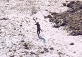 Misteri Pulau Sentinel: Catatan Marco Polo dan Penjelajah Dunia Ungkap Betapa Mengerikannya Pulau Tersebut