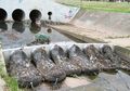 Simpel tapi Berfaedah, Ini Cara Australia Atasi Sampah Plastik di Air