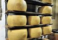 Satu Gelondong Keju Parmesan Italia Harganya Mahal, Kenapa, ya?