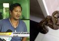 Sedang Kencing di Toilet, Alat Vital Pria Ini Diserang Ular Piton, Seperti Ini Kondisinya Kini