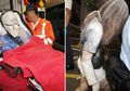 Rayakan Ultah, 12 Mahasiswa Derita Luka Bakar Setelah Tepung yang Dilempar Picu Ledakan, Begini Kejadiannya