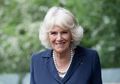 Ini, Lho, Alasan Camilla Parker Bowles Tak Mau Menerima Gelar Putri