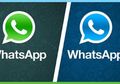 Bikin Tampilan WhatsApp Makin Fresh, Begini Caranya Ganti Tema WA-mu