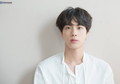 Kompak, Begini Cara Fans dan Member BTS Merayakan Ulang Tahun Jin